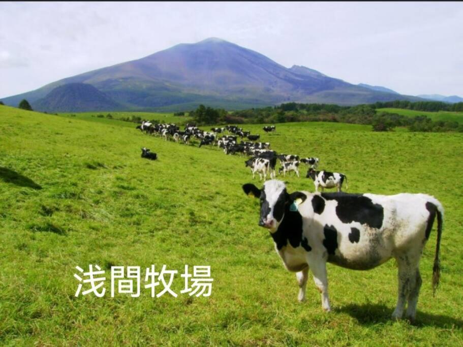おもちゃ王国と北軽井沢の大自然を満喫できる貸別荘 Karuizawa Ngoại thất bức ảnh